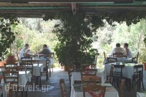Kanakis Kleanthis Apartments_best prices_in_Apartment_Crete_Rethymnon_Plakias