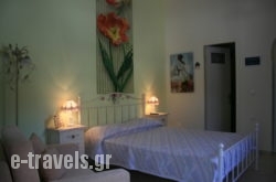 Gianna's Studios_s __1