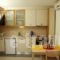Pelagos Holidays Apartments_lowest prices_in_Apartment_Crete_Chania_Agia Marina