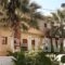 Lia Sofia Apartments_travel_packages_in_Crete_Heraklion_Stalida