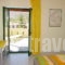 Xenophon Apartments & Studios_best deals_Room_Crete_Heraklion_Matala