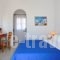 Scorpio Studios & Apartments_best deals_Room_Cyclades Islands_Paros_Naousa