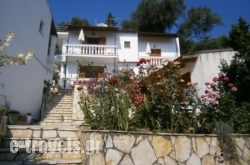 Pantazis Studios_s __1