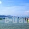 Valais Hotel_best deals_Hotel_Ionian Islands_Zakinthos_Zakinthos Rest Areas