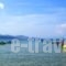 Valais Hotel_best deals_Hotel_Ionian Islands_Zakinthos_Zakinthos Rest Areas