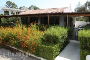 Despina Hotel_best deals_Hotel_Dodekanessos Islands_Rhodes_Stegna