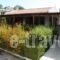 Despina Hotel_best deals_Hotel_Dodekanessos Islands_Rhodes_Stegna