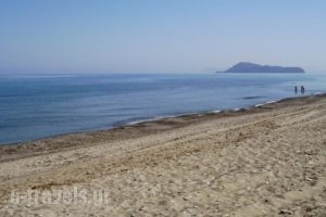 Summer Lodge_accommodation_in_Hotel_Crete_Chania_Platanias