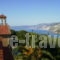 Christos Studios_holidays_in_Room_Ionian Islands_Kefalonia_Kefalonia'st Areas