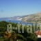 Christos Studios_best prices_in_Room_Ionian Islands_Kefalonia_Kefalonia'st Areas