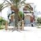 Sokrates Studios_accommodation_in_Hotel_Dodekanessos Islands_Rhodes_Rhodes Areas
