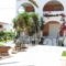 Sokrates Studios_best prices_in_Hotel_Dodekanessos Islands_Rhodes_Rhodes Areas
