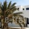 Lolantonis Rooms_lowest prices_in_Room_Cyclades Islands_Paros_Paros Chora
