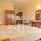 Nina Studios_holidays_in_Apartment_Aegean Islands_Thasos_Thasos Chora
