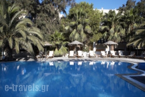 Arvanitis Studios_best deals_Room_Cyclades Islands_Sandorini_Sandorini Chora