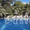 Arvanitis Studios_best deals_Room_Cyclades Islands_Sandorini_Sandorini Chora