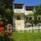 Irene_accommodation_in_Apartment_Ionian Islands_Corfu_Acharavi