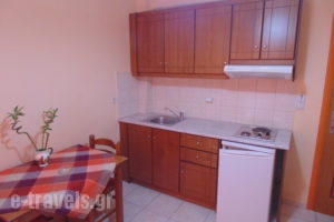 Bayside Apartments_accommodation_in_Apartment_Ionian Islands_Lefkada_Vasiliki