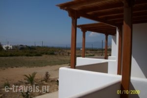 Joanna's Apartments_best prices_in_Apartment_Cyclades Islands_Naxos_Naxos Chora