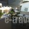 Iris Apartments_best prices_in_Apartment_Macedonia_Halkidiki_Fourka