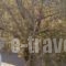 Guesthouse Kazakou_best prices_in_Hotel_Peloponesse_Arcadia_Dimitsana