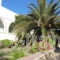 Flora_best prices_in_Hotel_Cyclades Islands_Paros_Paros Chora