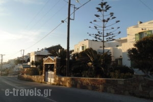 Flora_travel_packages_in_Cyclades Islands_Paros_Paros Chora