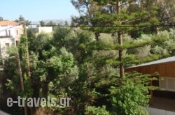 Niriis Hotel_s __1