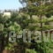Niriis Hotel_accommodation_in_Hotel_Crete_Chania_Daratsos