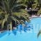 Arvanitis Studios_best prices_in_Room_Cyclades Islands_Sandorini_Sandorini Chora