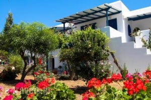 Maroussa Studios_accommodation_in_Hotel_Cyclades Islands_Naxos_Naxos chora