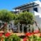 Maroussa Studios_accommodation_in_Hotel_Cyclades Islands_Naxos_Naxos chora