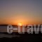 Vounali Rooms_travel_packages_in_Cyclades Islands_Paros_Paros Chora