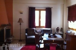 Odos Oneiron_holidays_in_Hotel_Central Greece_Viotia_Arachova