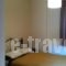 Odos Oneiron_travel_packages_in_Central Greece_Viotia_Arachova
