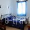 Karyatides_holidays_in_Hotel_Cyclades Islands_Tinos_Tinosst Areas