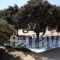 Isalos_holidays_in_Apartment_Cyclades Islands_Naxos_Mikri Vigla
