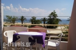 Vergina_s __1