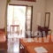 Olga Studios_best deals_Apartment_Thessaly_Magnesia_Afissos