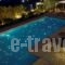 Elafivolia Arachova Suites_holidays_in_Hotel_Central Greece_Viotia_Arachova