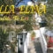 Villa Elina_holidays_in_Villa_Cyclades Islands_Mykonos_Tourlos