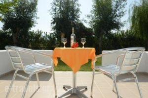 Golden Star Hotel Apartments_lowest prices_in_Apartment_Dodekanessos Islands_Kos_Kos Rest Areas