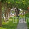 Pythos Studios_holidays_in_Hotel_Ionian Islands_Kefalonia_Vlachata