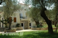 Gera's Olive Grove - Elaionas tis Geras_s __1