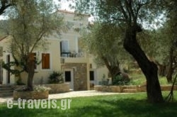 Gera’s Olive Grove – Elaionas tis Geras in Mytilene, Lesvos, Aegean Islands