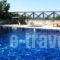 Ta Xelidonakia_lowest prices_in_Hotel_Thessaly_Magnesia_Trikeri