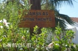 Tsambika's Studios_s __1