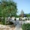 Onira Studios_travel_packages_in_Cyclades Islands_Paros_Paros Chora