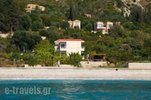 Christina Studios_accommodation_in_Room_Ionian Islands_Kefalonia_Kefalonia'st Areas