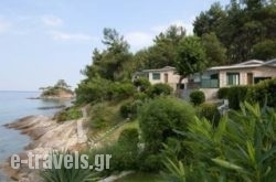 Roula_s __1